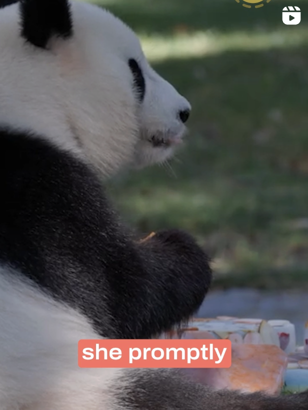 Screenshot 2025-09-21 at 6.26.16 PM